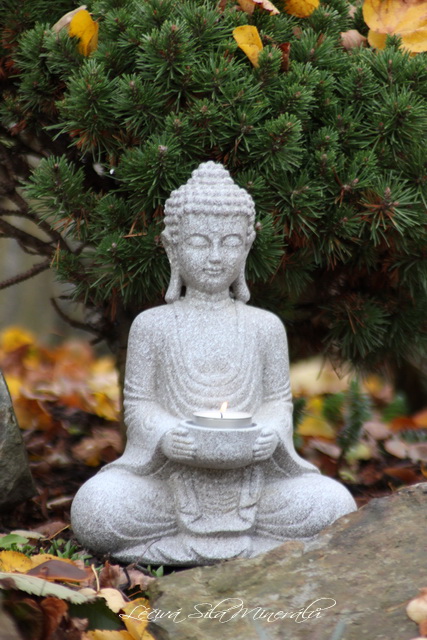 Buddha svícen