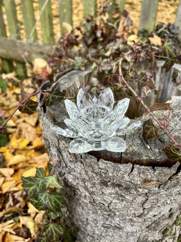 Lotos svícen Křišťálový 