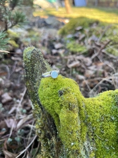 Akvamarín prsten Ag925