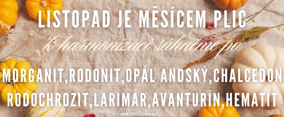 kameny pro listopad